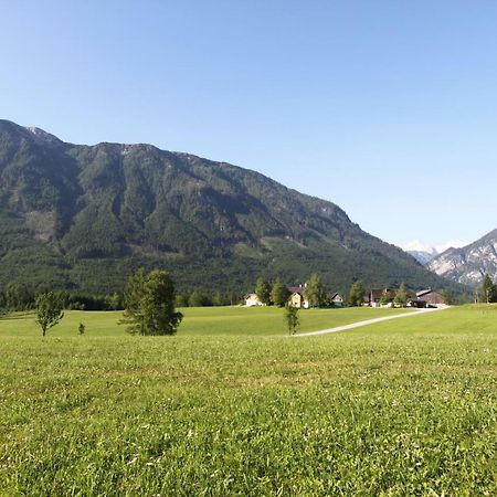 Haus Stangl Apartment Bad Aussee Exterior foto